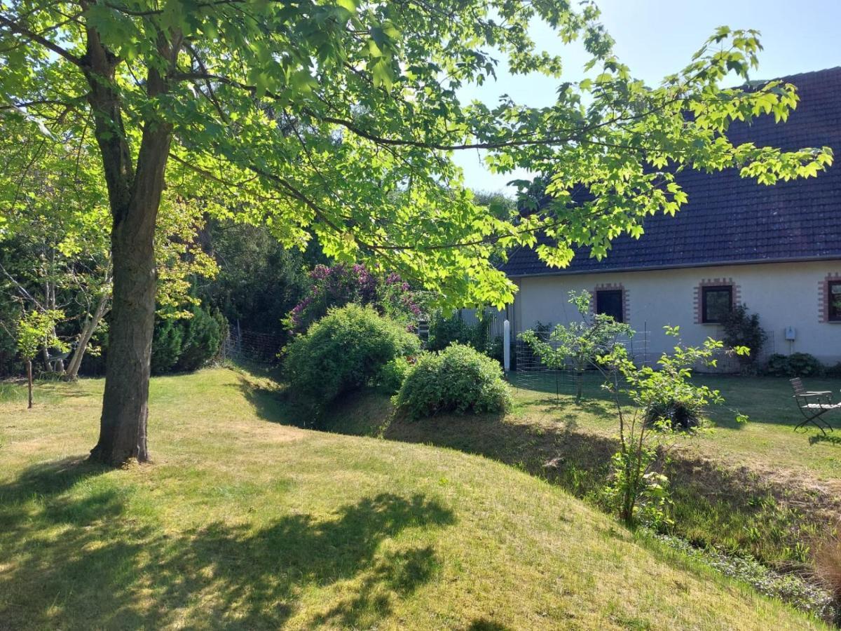 Klosterblick Bad Doberan Dış mekan fotoğraf