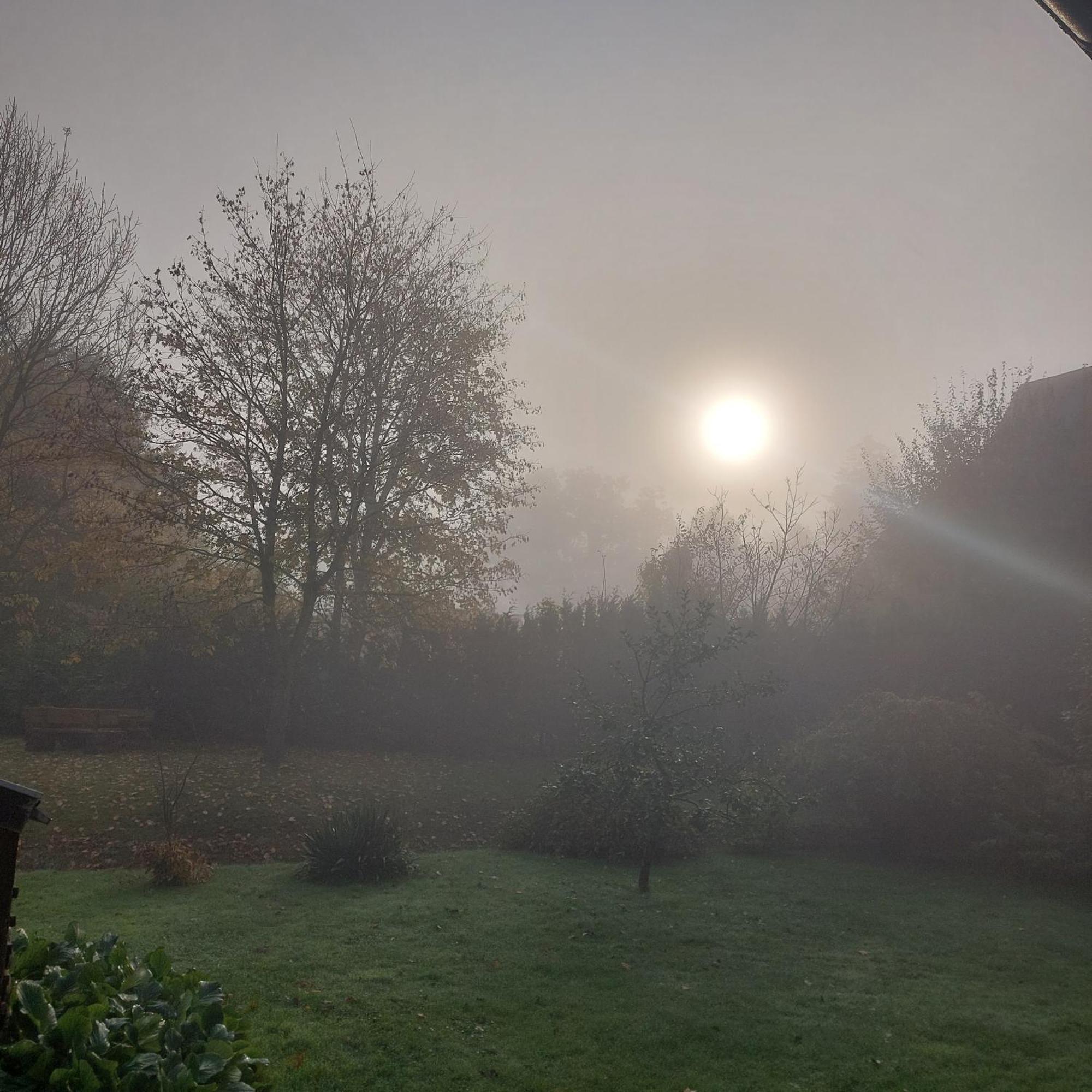 Klosterblick Bad Doberan Dış mekan fotoğraf